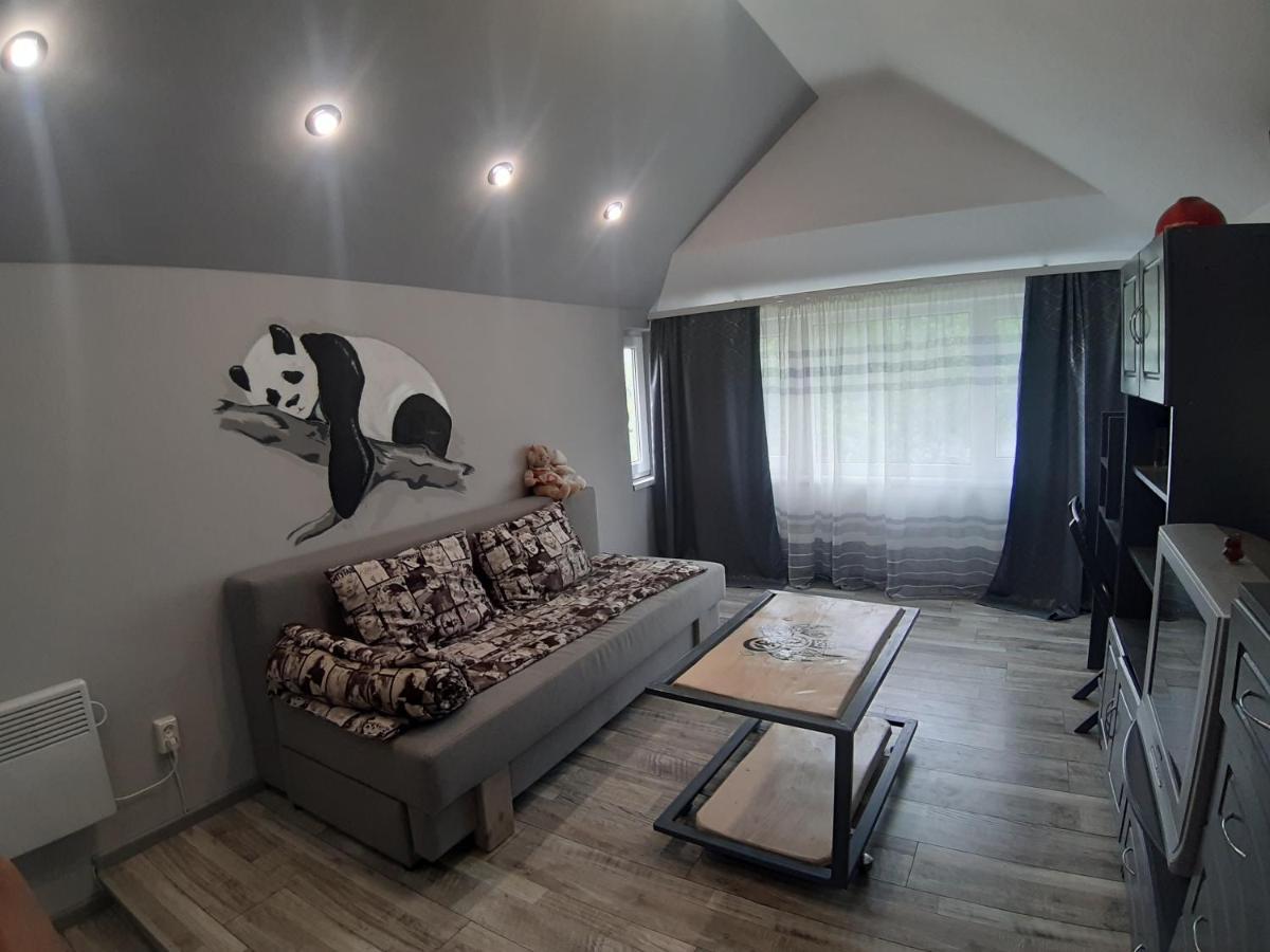 Apartament Barlig Jaremcze Zewnętrze zdjęcie